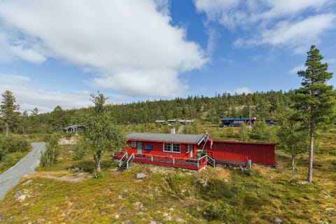Bilde 1 av annonsen