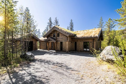 Bilde 1 av annonsen