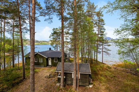 Bilde 1 av annonsen