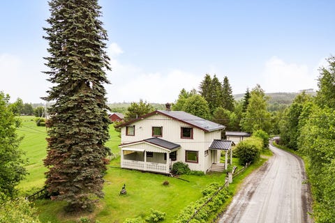Bilde 1 av annonsen