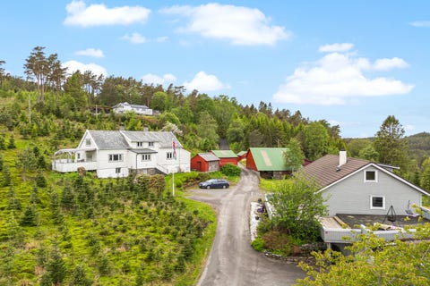 Bilde 2 av annonsen