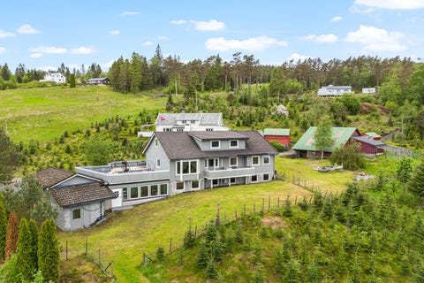 Bilde 1 av annonsen