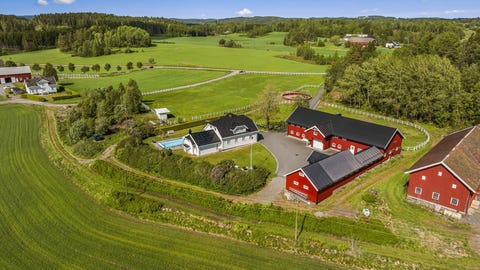 Bilde 1 av annonsen