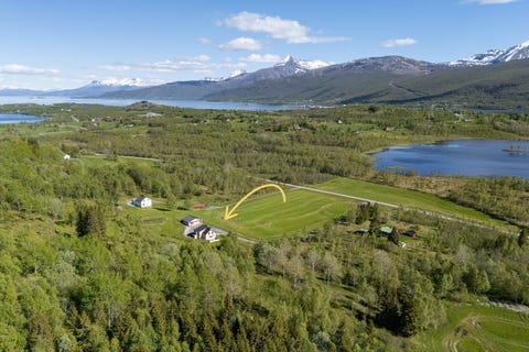 Bilde 1 av annonsen
