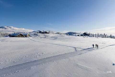 Bilde 2 av annonsen