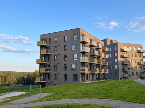 Bilde 1 av annonsen