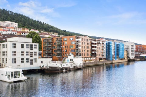 Bilde 1 av annonsen
