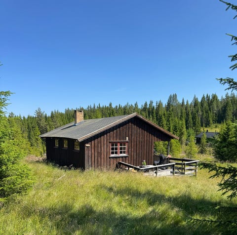 Bilde 1 av annonsen