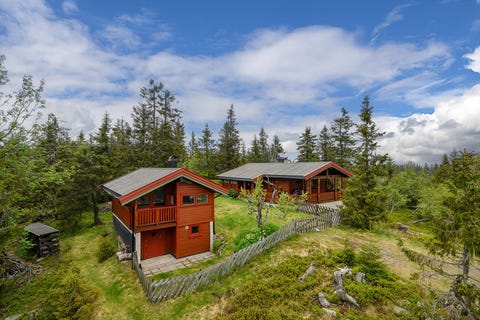 Bilde 1 av annonsen