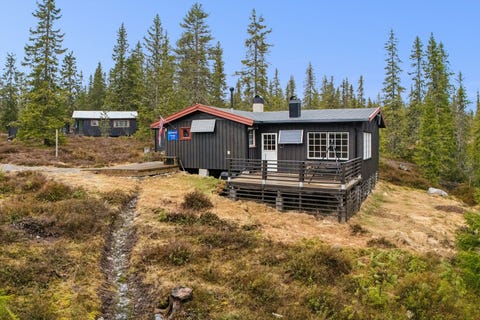 Bilde 1 av annonsen