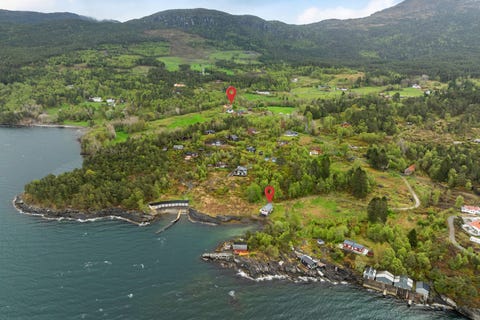 Bilde 2 av annonsen