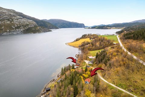 Bilde 1 av annonsen