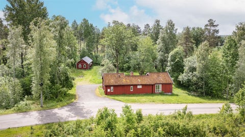 Bilde 1 av annonsen