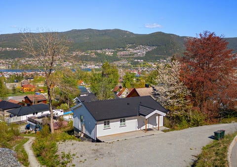 Bilde 1 av annonsen