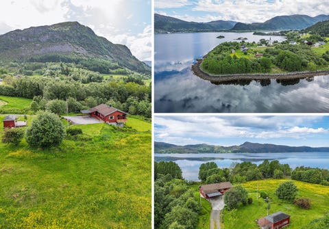 Bilde 1 av annonsen