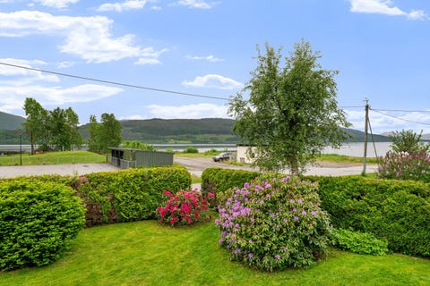 Bilde 2 av annonsen