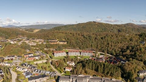 Bilde 2 av annonsen