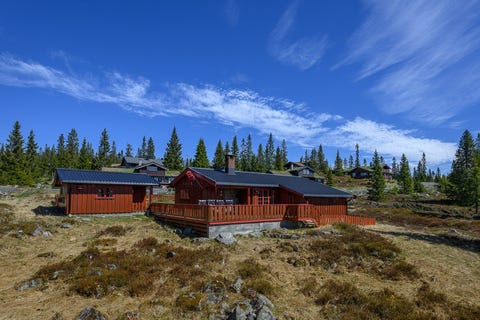 Bilde 1 av annonsen