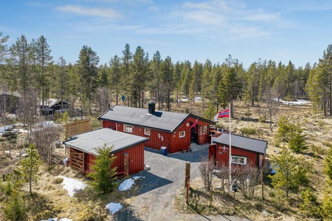 Bilde 1 av annonsen