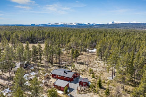 Bilde 2 av annonsen