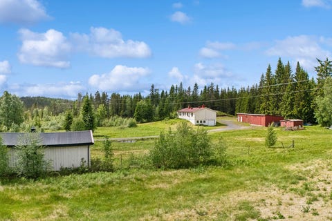 Bilde 1 av annonsen