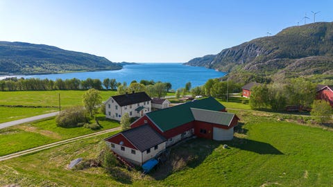 Bilde 1 av annonsen
