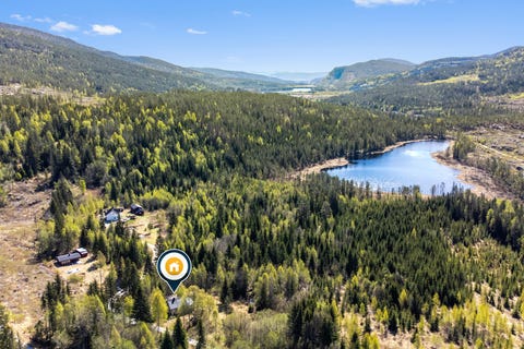 Bilde 1 av annonsen
