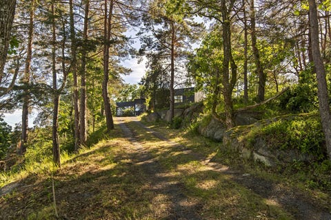 Bilde 2 av annonsen