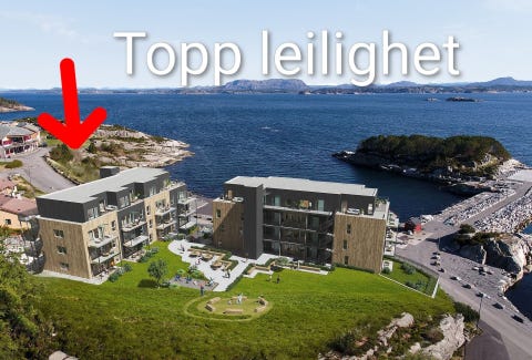 Bilde 2 av annonsen