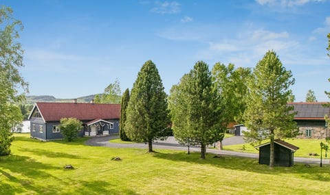 Bilde 1 av annonsen