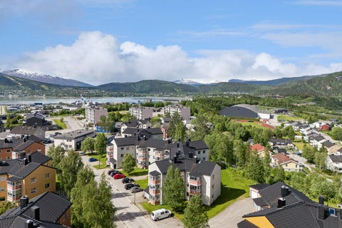 Bilde 1 av annonsen