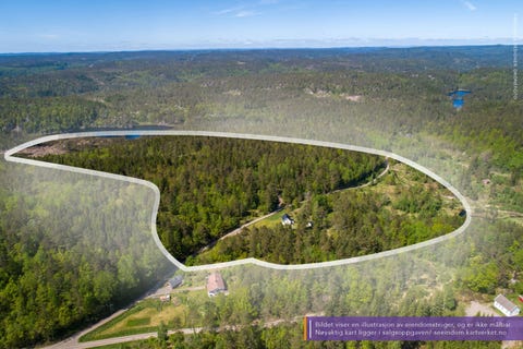 Bilde 1 av annonsen