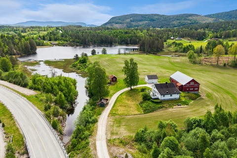 Bilde 1 av annonsen
