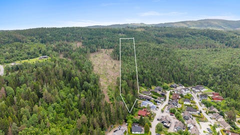 Bilde 2 av annonsen