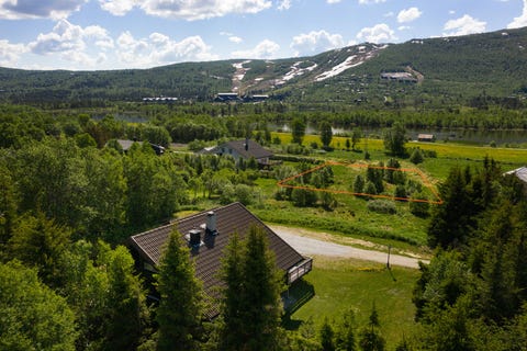 Bilde 2 av annonsen