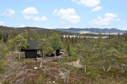 Bilde 2 av annonsen