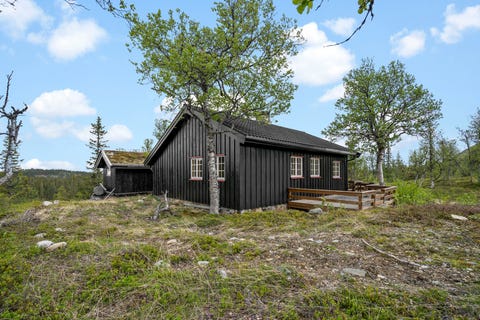 Bilde 1 av annonsen