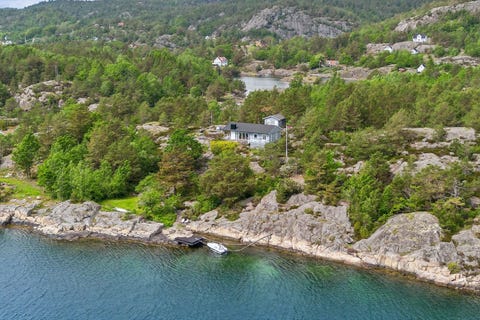 Bilde 1 av annonsen