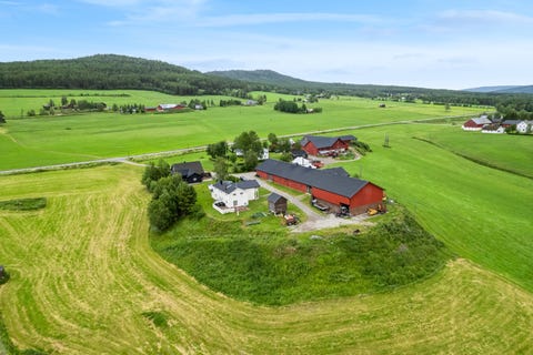 Bilde 1 av annonsen