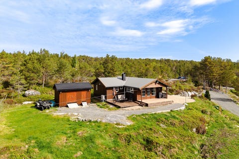 Bilde 1 av annonsen