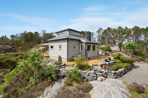Bilde 1 av annonsen
