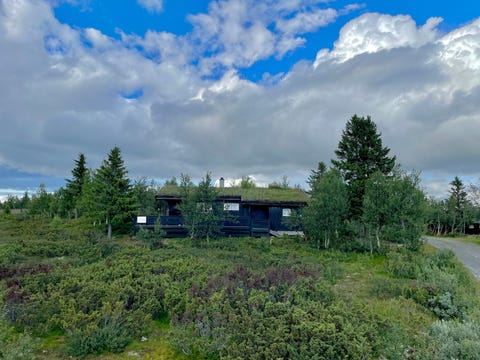 Bilde 1 av annonsen