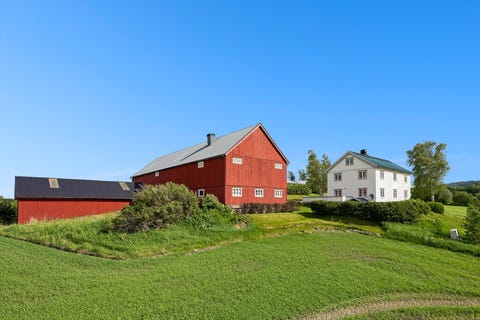 Bilde 1 av annonsen