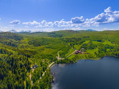 Bilde 2 av annonsen