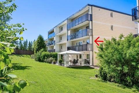 Bilde 1 av annonsen