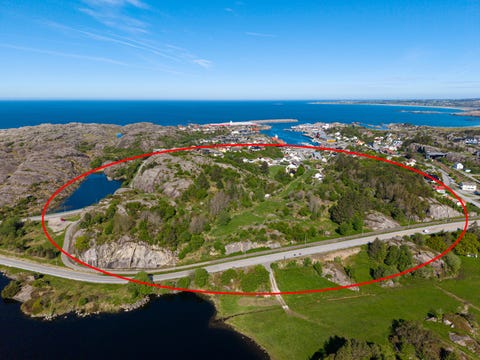 Bilde 1 av annonsen