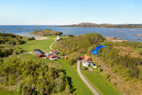 Bilde 1 av annonsen