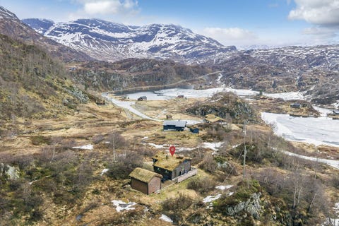 Bilde 1 av annonsen