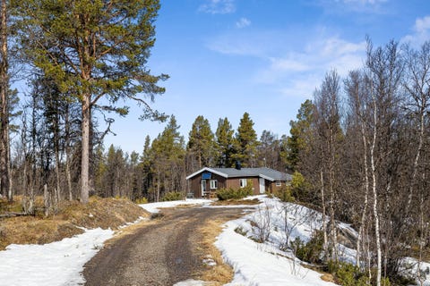 Bilde 2 av annonsen