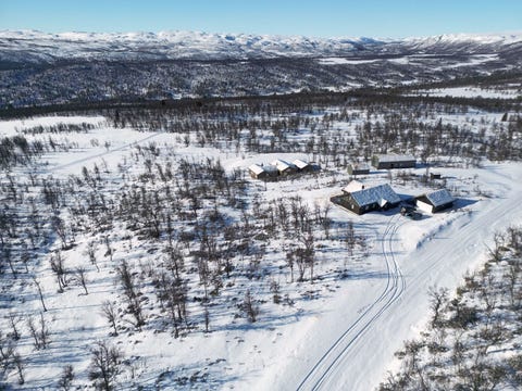 Bilde 2 av annonsen